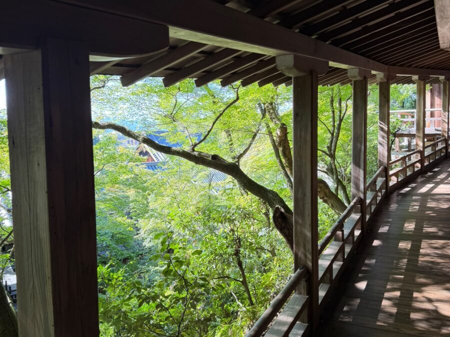 Eikan-dō  Zenrin-ji (永観堂 禅林寺)